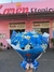 Buquê de 8 Rosas azuis