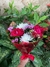 BUQUÊ DE 2 ROSAS VERMELHO CORAÇÃO