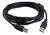 Cable de Impresora USB 5mts-KJPRINT5-Kanji - comprar online