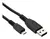 Cable Micro USB 25cm-KJUSBMUSB025-Kanji