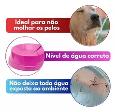 Imagem do BEBEDOURO DOSADOR PARA PETS - Prático e Anti-engasgo