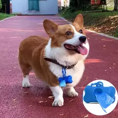 KIT CATA CACA PARA PASSEIOS COM SEU CACHORRO na internet