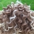 CABELO-ORG-COQ G-2084 - Casadio