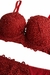Conjunto Lingerie com Bojo Terracota na internet
