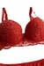 Conjunto Lingerie com Bojo Terracota na internet