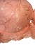 Conjunto Lingerie com Bojo Rosa Flamingo na internet