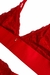 Conjunto Lingerie Pétalas Vermelho sem Aro sem Bojo na internet