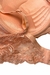 Imagem do Conjunto Lingerie com Bojo Rosa Flamingo