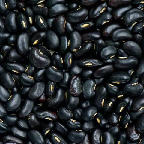 Porotos negros