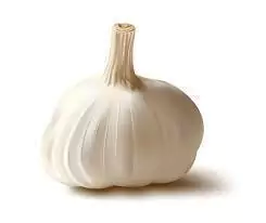 AJO grande - comprar online