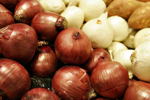 CEBOLLA BLANCA