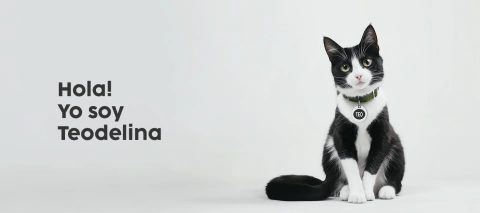 Imagen del carrusel Glam Pet