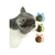 Juguete de Catnip Formas Divertidas en internet