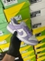 Nike Dunk Lila