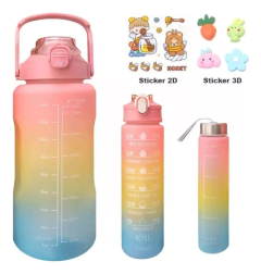 Imagen de Set 3 Termo Botella Motivacional Con St