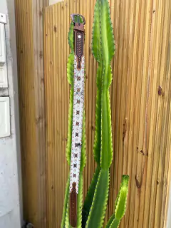 Cinto Couro e Pelo Bovino Branco