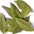 Folha de Louro 100g