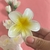 Broche Hawaiano - Serchic Beauty