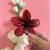 Broche Hawaiano