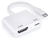 Convertidor Digital Hdmi Otg Av Para Lightning iPhone Y iPad - comprar en línea