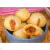 Recheador De Pão De Queijo 1 Litro Doces Densos Mini Churros - Shop Americana