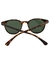 Óculos de Sol Pequim Animal Print g15 - Fortuna Sunglasses | Óculos de Sol Femininos de Qualidade 