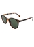 Óculos de Sol Pequim Animal Print g15 - loja online