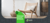 Banner rotativo 2