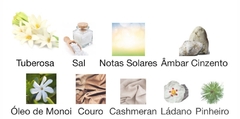 ONE MILLION PARFUM- 100ML - SELADO na internet
