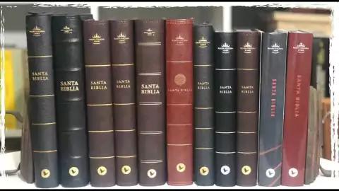 Librería Andresito