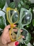Modelo 90123 - comprar online