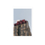 New Yorker - Ana Delgado - tienda online