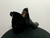 BOTA LEXUS CAÑA BAJA -OPORTUNIDAD- ¡ÚLTIMAS EN STOCK! - tienda online