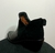 BOTA LEXUS CAÑA BAJA -OPORTUNIDAD- ¡ÚLTIMAS EN STOCK! en internet