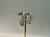 BRINCO PÉROLAS COM GARRAS E ZIRCÔNIAS na internet