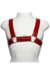 Arreio Masculino Harness Aquiles na internet