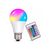 LÂMPADA BULBO RGB - CONTROLE