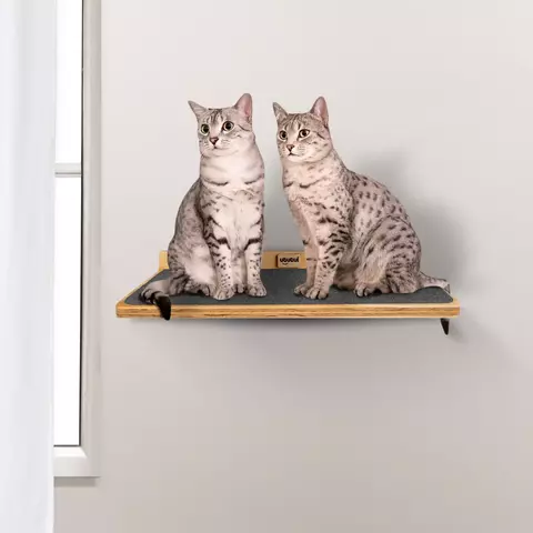 Repisa o Escalón para gatos - 45 cm - Diseño moderno V1 - comprar en línea