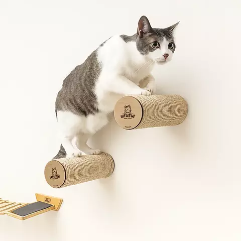 Stepper - Escalón cilíndrico - comprar en línea
