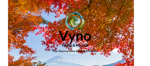 Carrusel VYNO Argentina