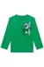 Camiseta Manga Longa em Meia Malha com Estampa Skate Verde - Menino - Johnny Fox