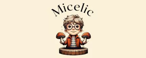 Micelic