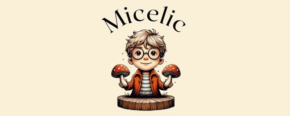 Micelic