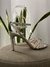 Sandália Prata Tiras Strass - Linddi Shoes