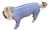 Roupa Pós-Cirúrgica para Pets - Membros Anteriores e Posteriores - (13-15) - Purivida - Produtos Escolhidos para Você.