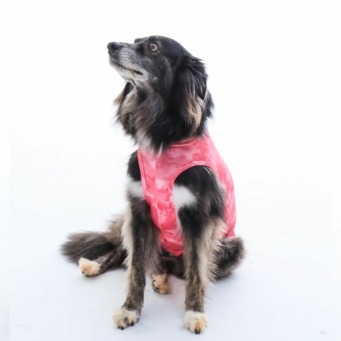 Roupa Cirúrgica Castração Cães Femea Nº10