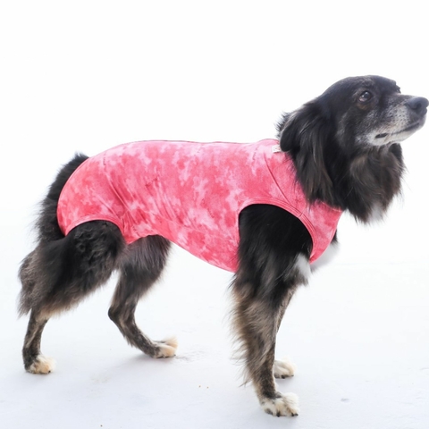 Roupa Cirúrgica Castração Cães Femea Nº12