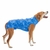 Roupa Cirúrgica Castração - Cães Fêmea ou Macho Nº 0 ao Nº 15 - (0-4) - comprar online