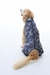 Roupa Pós-Cirúrgica para Pets - Membros Posteriores na internet