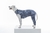 Roupa Pós-Cirúrgica para Pets - Membros Posteriores - comprar online